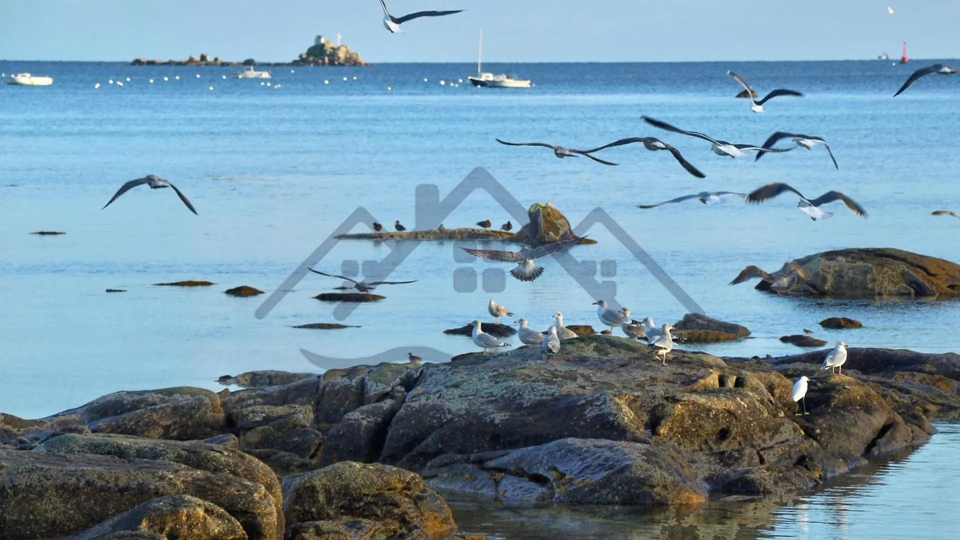 Localise - A18 - Appartement Avec Balcon - Petite Vue Mer A Travers Le Palmier - Piscine De Avril A Septembre - Wifi Inclus - Animaux Admis - Draps Inclus - Parking Inclus Guilvinec Apartment